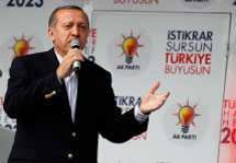 Prime Minister Erdogan (Reuters/Umit Bektas)