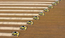 Soy harvest in Brazil (Reuters/Paulo Whitaker)