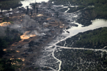 A view of an illegal oil refinery is seen in Ogoniland outside Port  Harcourt in Nigeria's Delta region. (REUTERS\Akintunde Akinleye)