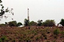 A boy herds goats in front of a Tullow Oil drilling rig in Uganda. (REUTERS/Barry Malone)