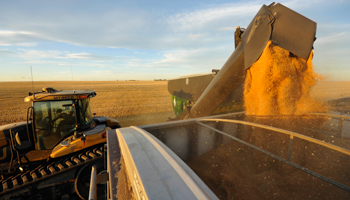 A wheat farm in Alberta. (REUTERS/Todd Korol)