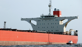 The Vale Beijing, the world's largest iron ore carrier, in Sao Marcos Bay, Brazil. (REUTERS/Paulo Whitaker)