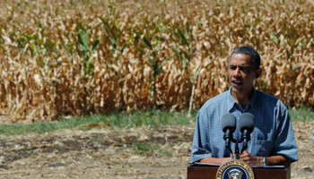 President Barack Obama tours a drought-ridden corn farm in Iowa (REUTERS/Larry Downing)