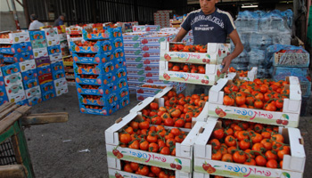 A worker arranges boxes of tomatoes at a wholesale market in the West Bank (REUTERS/Mohamad Torokman)