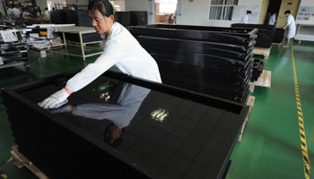 An employee cleans solar panels at a Chinese factory (REUTERS/Jianan Yu)