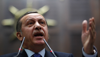 Prime Minister Erdogan addresses AKP members of parliament (REUTERS/Umit Bektas)