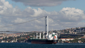 An oil tanker passes through the Bosphorus (REUTERS/Osman Orsal)