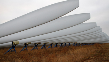 Wind turbine blades sit in a field in Iowa (REUTERS/Joshua Lott)