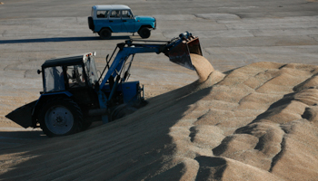 A tractor piles grain at a farm in Siberia (REUTERS/Ilya Naymushin)