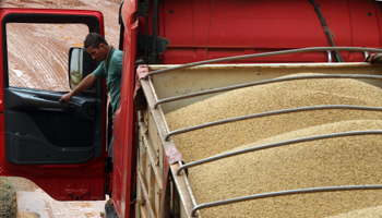 A driver waits as his truck is loaded with soybean in Mato Grosso (REUTERS/Paulo Whitaker)