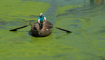 A fisherman rows a boat on a lake filled with blue-green algae (Reuters/Stringer)