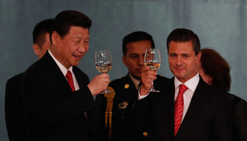 Presidents Xi and Pena Nieto make a toast during a dinner in Mexico City (Reuters/Tomas Bravo)