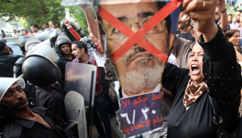 An anti-Morsi protester demonstrates in front of the Ministry of Culture (Reuters/Mohamed Abd El Ghany)