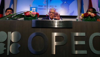 OPEC Secretary General Abdullah al-Badri addresses a news conference after an OPEC meeting in Vienna (Reuters/Leonhard Foeger)