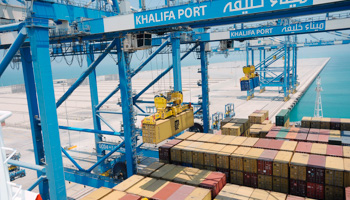 Cranes lift containers at Khalifa Port in Abu Dhabi (Reuters/Ben Job)