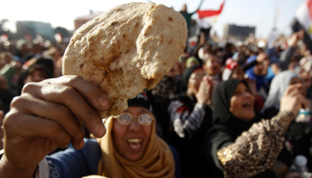 A woman protests against the high prices of goods in Tahrir square (Reuters/Mohamed Abd El Ghany)