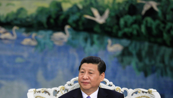 President Xi Jinping (Reuters/Feng Li/Pool)