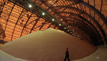 An employee checks potassium salts at a Uralkali potash mine (Reuters/Sergei Karpukhin)