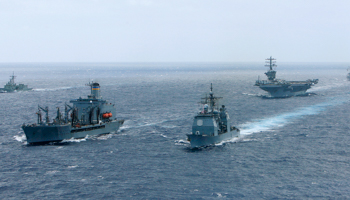 The USS Nimitz and several ships from its battle group (Reuters/Hugh Gentry)