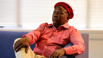 South African politician Julius Malema is pictured during an interview (Reuters/Siphiwe Sibeko)