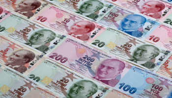 Turkish lira banknotes (Reuters/Murad Sezer)