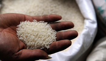 A worker displays a handful of rice at a market (Reuters/Jianan Yu)