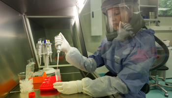 Dr. Doreen Muth from the virology institute of the Bonn Faculty of Medicine works under a flow head at laboratory in Bonn (Reuters/Wolfgang Rattay)