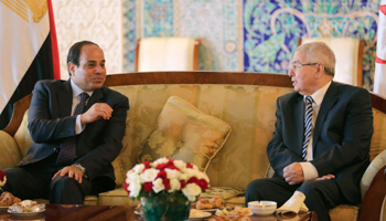 Egypt's President Abdel Fattah al-Sisi speaks with Algeria's Senate President Abdelkader Bensalah (Reuters/Louafi Larbi)