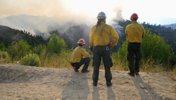 Supervisors of hotshot crews observe fires (Reuters/Patrick Sweeney)