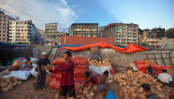 Labourers pack coconuts in Yangon, Myanmar (Reuters/Minzayar)