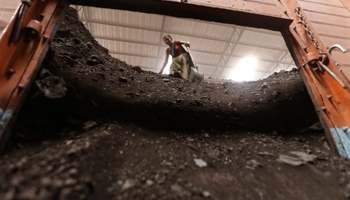 A worker unloads coal from a truck inside a coal yard (Reuters/Amit Dave)