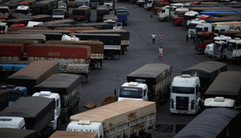 Drivers walk in front of trucks parked as they wait to unload their cereal grain freight (Reuters/Nacho Doce)