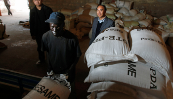 Riping Ouyang, a Chinese investor, watches as a local worker stacks bags of seeds in a sesame factory in Senegal's capital Dakar (Reuters/Normand Blouin)