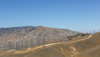 Part of the Tehachapi Pass Wind Farm in Tehachapi, California (Reuters/Mario Anzuoni)