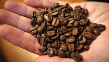 Handful of La Bendicion coffee beans from Nicaragua (REUTERS/Carlo Allegri)