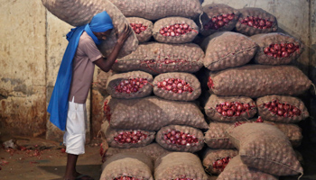 A labourer stacks a sack of onions in a storage room at a wholesale vegetable and fruit market in New Delhi (Reuters/Anindito Mukherjee)