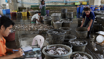 Workers sort seafood at a port in Mahachai (REUTERS/Damir Sagolj)