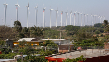 Wind turbines are seen in La Ventosa (Reuters/Jorge Luis Plata)