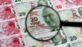 A 20 lira banknote is seen through a magnifying lens (Reuters/Murad Sezer)