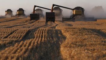 Combine harvesters work on a wheat field near Krasnoyarsk, Russia (Reuters/Ilya Naymushin)