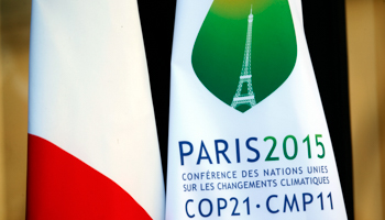 A COP21 summit flag at the Elysee Palace in Paris, France (Reuters/Charles Platiau)