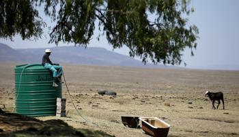 A farmer in northwest KwaZulu-Natal (Reuters/Siphiwe Sibeko)