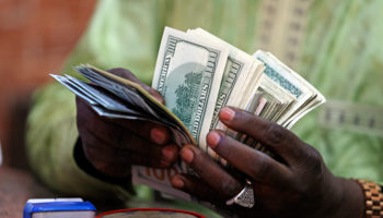 A bureau de change operator counts US currency notes in Abuja (Reuters/Afolabi Sotunde)