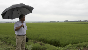 A pro-TPP farmer looking at rice paddies in Tsuruoka, Yamagata prefecture (Reuters/Kaori Kaneko)