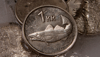 Iceland Krona coins (Reuters/Ingolfur Juliusson)