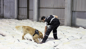 An official from the Federal Public Revenue Administration tax agency and a sniffer dog check sacks of rice for drugs, in Buenos Aires (Reuters/Directorate General of Customs/AFIP/Handout via Reuters)