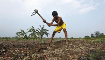A farmer in Kolkata (Reuters/Rupak De Chowdhuri)