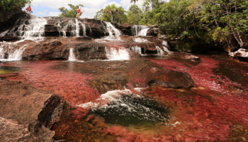 The Cano Cristales river, in the Sierra de La Macarena National Park in Meta province (Reuters/Jose Miguel Gomez)