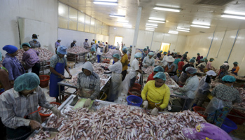 A seafood export factory in Hlaingthaya Industrial Zone, outside Yangon, Myanmar (Reuters/Soe Zeya Tun)