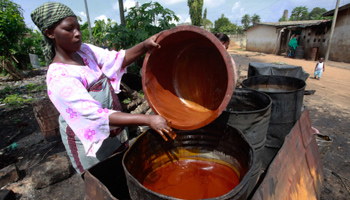 Women prepare to extract red palm oil in the Ivory Coast (Reuters/Thierry Gouegnon)